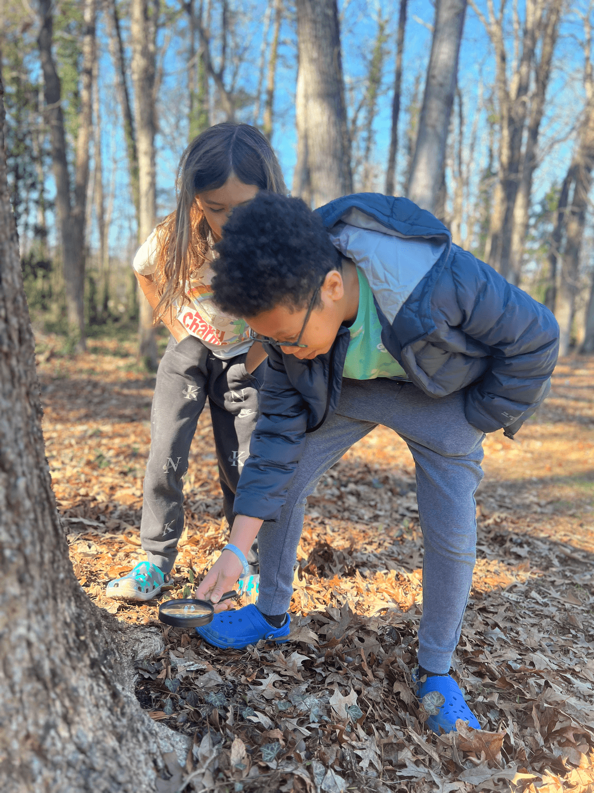 Students exploring nature on field trip