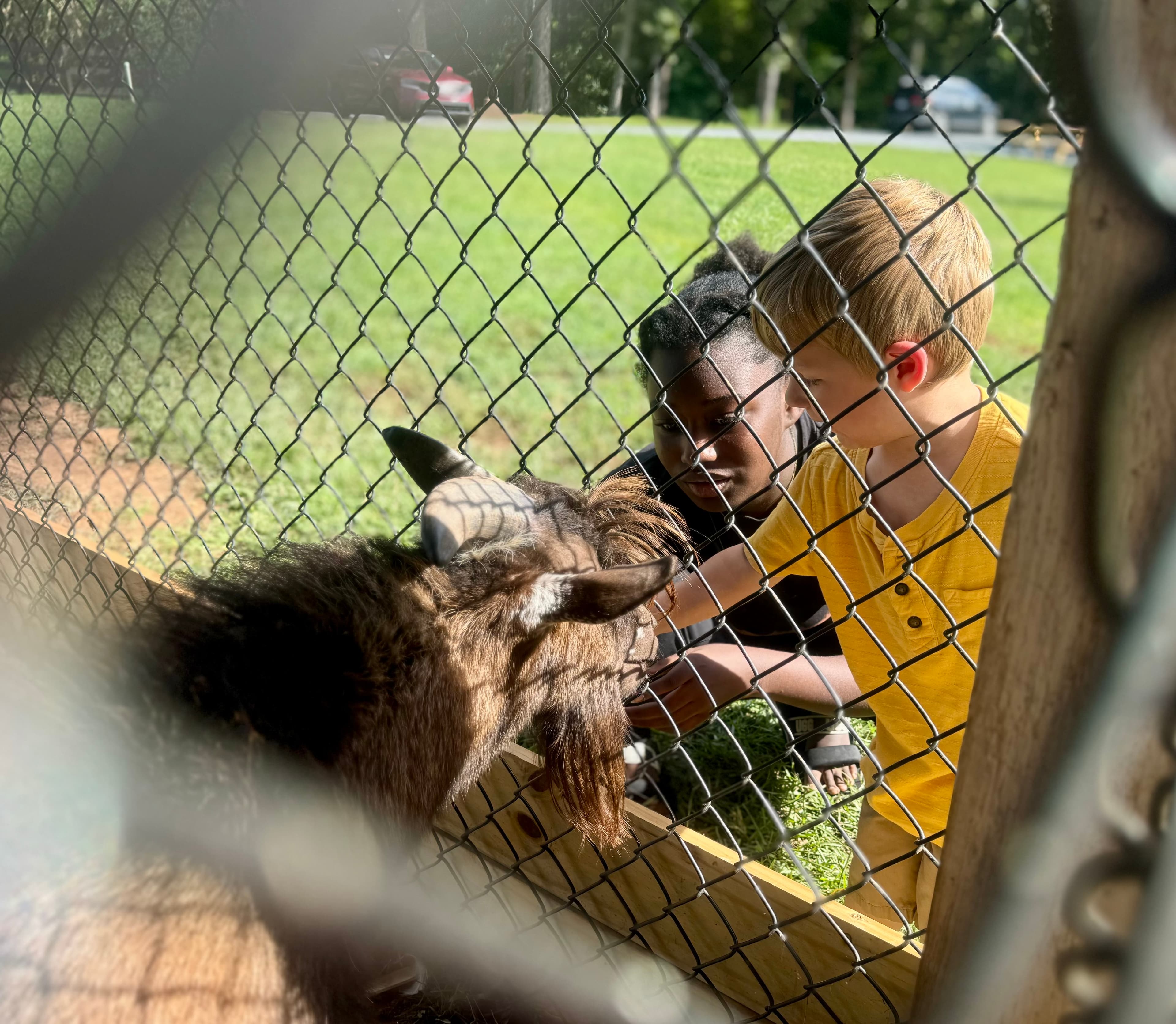 WildRoots Nature Programs